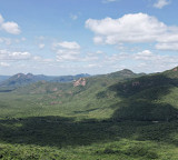 TTD Tirumala Forest Conservation a Model for India