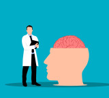 Brain Health Improper Chewing Food Risks Brain Health