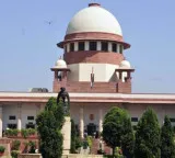 Supreme Court directs permanent relocation of street dogs