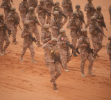 Over 175 ISIS fighters killed in joint US-led airstrikes in Nigeria