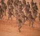 Over 175 ISIS fighters killed in joint US-led airstrikes in Nigeria