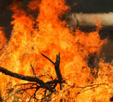 California wildfire puts over 17,000 residents under evacuation order