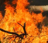 California wildfire puts over 17,000 residents under evacuation order