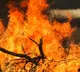 California wildfire puts over 17,000 residents under evacuation order