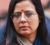 Mahua Moitra moves Calcutta HC against Bengal govt's restriction on cattle slaughter ahead of Eid