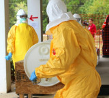 Why are Infectious Diseases Like Hantavirus and Ebola Resurging