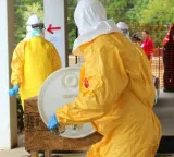Why are Infectious Diseases Like Hantavirus and Ebola Resurging