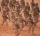 Nigeria ISIS Airstrikes Kill 175 Terrorists