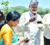 Chandrababu Naidu Enjoys Palm Fruit with Bhuvaneshwari on Roadside