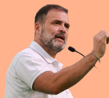 Rahul Gandhi Remarks Draw Ire from BJP
