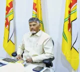 Chandrababu Naidu Discusses Mahanadu Plans With TDP Leaders