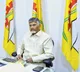 Chandrababu Naidu Discusses Mahanadu Plans With TDP Leaders