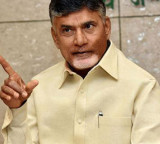 NDA set for clean sweep in elections to four RS seats from Andhra Pradesh