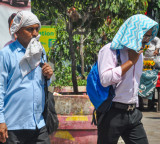 Heatwave claims 16 lives in Telangana; govt announces Rs 4 lakh ex gratia
