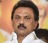 Stalin Says Vijay Government Could Collapse Anytime