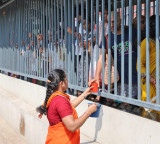 Tirumala Queue Lines Extend to Bata Gangamma Temple 30 Hours for Darshan