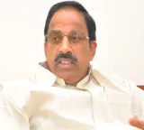 Revanth Reddy Government Announces Good News for Jonna Maize Farmers