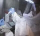 Andhra Pradesh on alert over Ebola virus