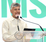 Chandrababu Naidu AP to Develop at Jet Speed from Chip to Ship