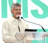 Chandrababu Naidu AP to Develop at Jet Speed from Chip to Ship