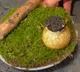 Caviar Pani Puri at Michelin Star Restaurant Alchemist