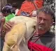 Kaushambi Road Accident Goats Stolen After Lorry Overturns
