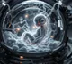 China Space Program Sends Artificial Embryos to Space