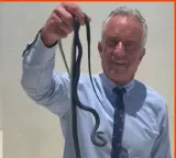 Snake Bites Robert Kennedy Jr While Handling in Florida