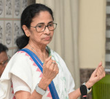 Mamata Banerjee pens ‘chameleon’ themed poem amid Trinamool infighting