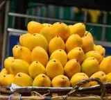 Indian Mango Exports Banned by Japan After 20 Years