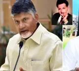 NTR Jayanthi Celebrations Chandrababu Lokesh Pay Tribute