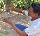 Odisha Farmer Grows Worlds Most Expensive Mango But Now He Has A Big Problem