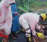 Four killed as rain, strong winds wreak havoc in Andhra