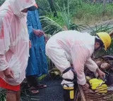 Four killed as rain, strong winds wreak havoc in Andhra