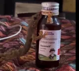 Lizard Licking Cough Syrup Video Goes Viral Experts Warn of Danger