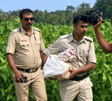 Dipankar Bhattacharya TMC Leader Arrested in Bengal Cash Seized
