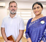 YS Sharmila Meets Rahul Gandhi Regarding Rajya Sabha Elections in Karnataka