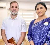 YS Sharmila Meets Rahul Gandhi Regarding Rajya Sabha Elections in Karnataka