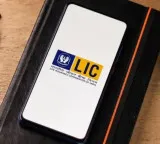 LIC Share Price Fall Explained Bonus Share Adjustment