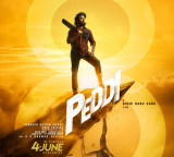 Ram Charan Peddhi Movie Faces Social Media Trolls FIR Filed