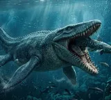 Tylosaurus Rex Scientists Identify Terrifying Sea Dinosaur