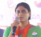 YS Sharmila Warns Government Over YSR Statue Vandalism in Nandyala