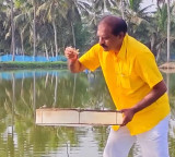 Nimmala Ramanayudu Minister Turns Farmer in Native Village