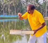 Nimmala Ramanayudu Minister Turns Farmer in Native Village