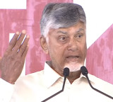 Chandrababu Naidu Slams Previous Government at Chamavaram Meeting