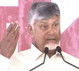 Chandrababu Naidu Slams Previous Government at Chamavaram Meeting