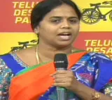 Panchumarthi Anuradha Praises Chandrababu for Pension Hike