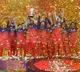 Virat Kohli Leads RCB to IPL 2026 Title Victory