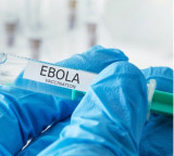 No ebola cases in India