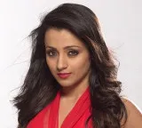Trisha social media post going viral